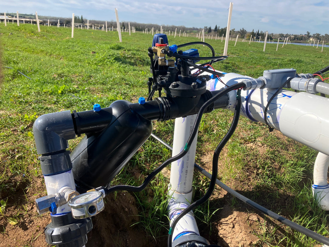 Chestnut Irrigation Design Part 2