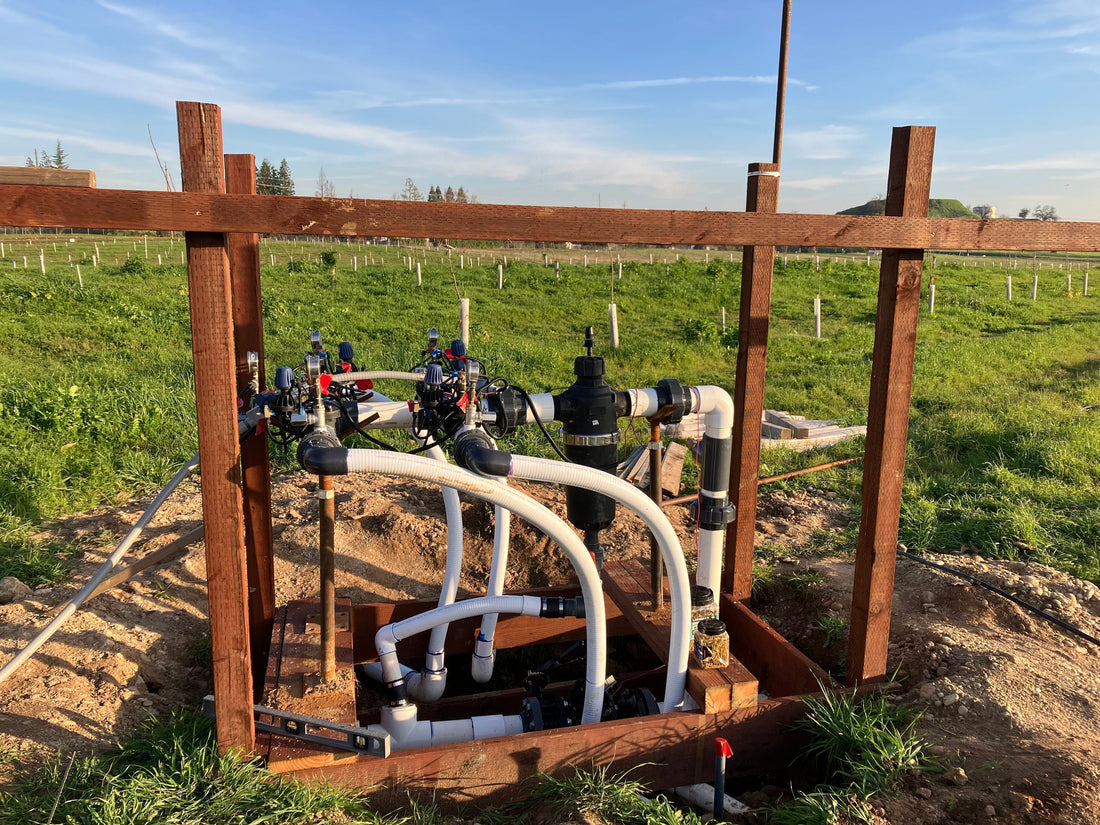 Winter 2025/2026 - Chestnut Orchard Winter Tasks