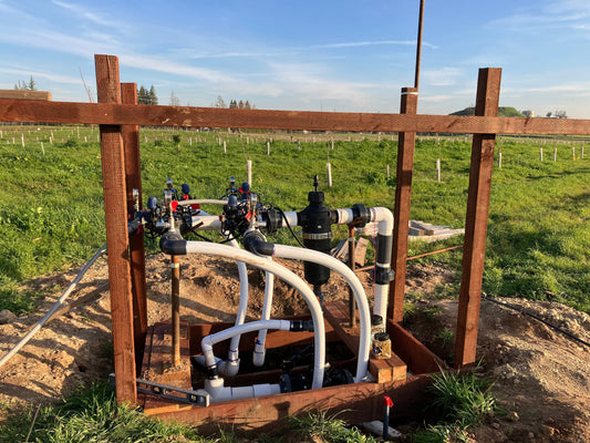 Winter 2025/2026 - Chestnut Orchard Winter Tasks